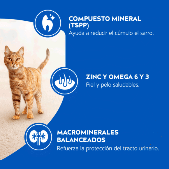 Alimento Gato Adulto Cat Chow Carne 8 kg - Imagen 4